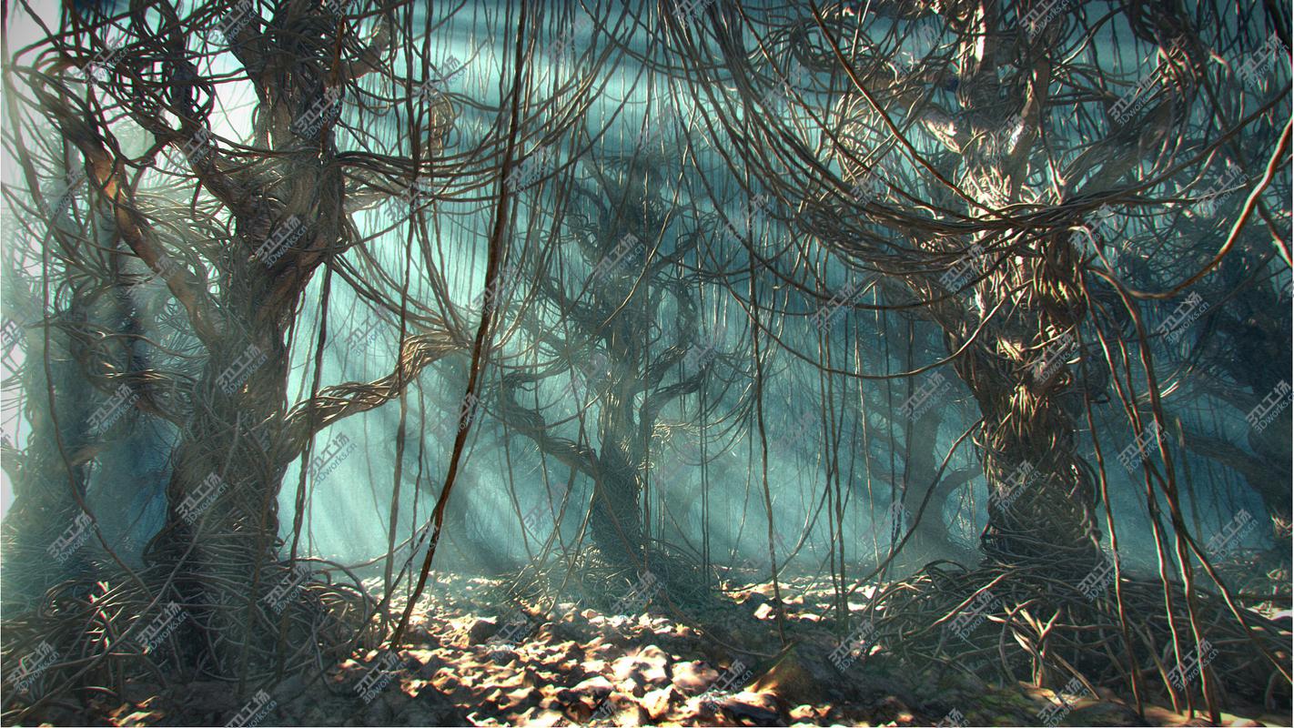 images/goods_img/2021040164/Ayahuasca Vines - Magical Forest/3.jpg